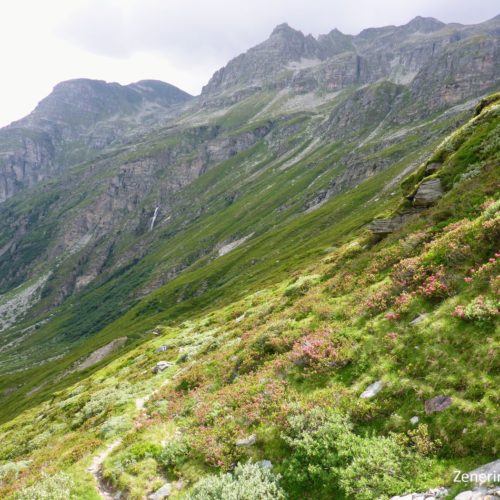 Brochahorn und Wissgrätli