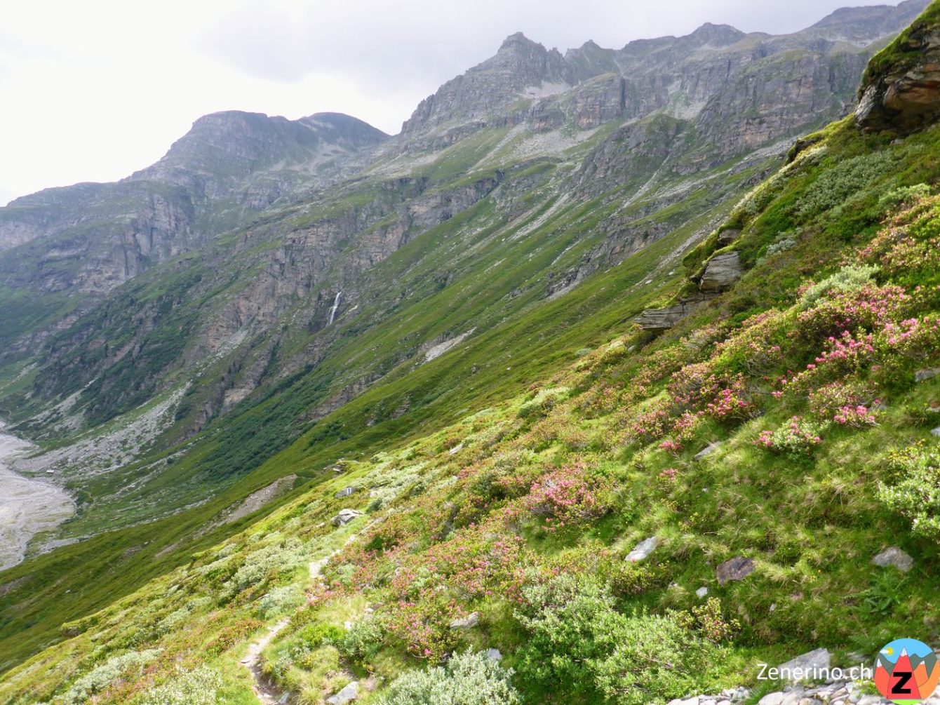 Brochahorn und Wissgrätli