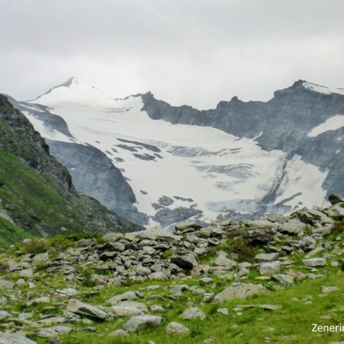 Rheinwaldhorn 3402m ü.M.