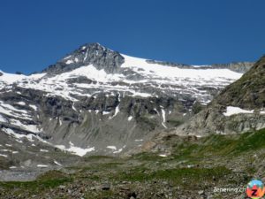 Rheinwaldhorn