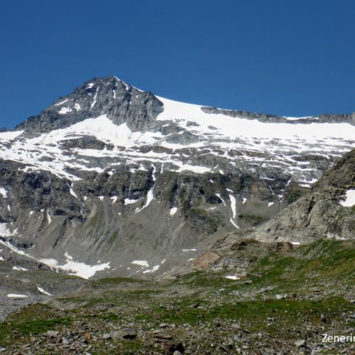 Rheinwaldhorn