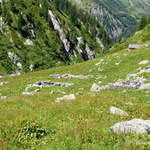 Alpe Scardada di Sotto