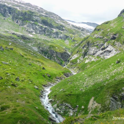 Paradies