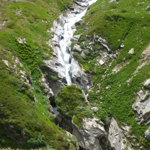 Höll