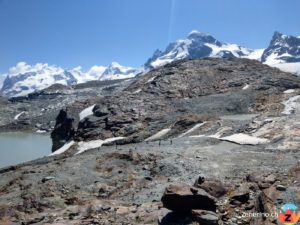 Theodulgletscher und Monte Rosa Gruppe