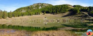 Lago Lod