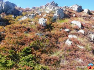 Herbstliche Stimmung
