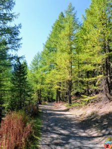 Herbstliche Wanderung