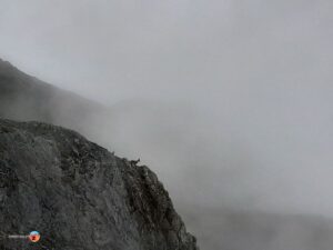 Zwei Gämse oberhalb der Sardonahütte